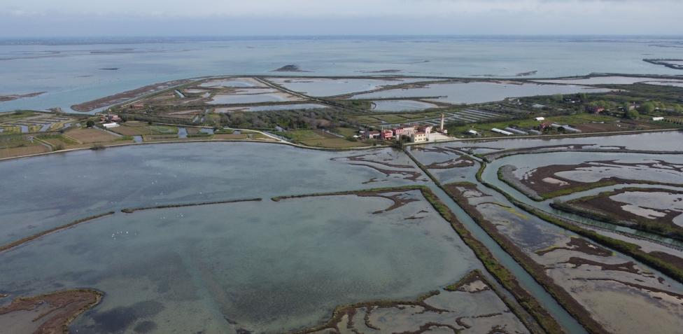 laguna venezia bosco
