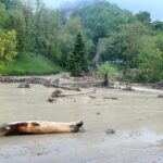 WhatsApp Image 2023-05-29 at 09.45.05