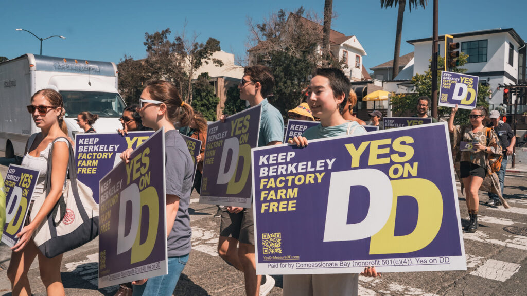 vietati allevamenti intensivi california