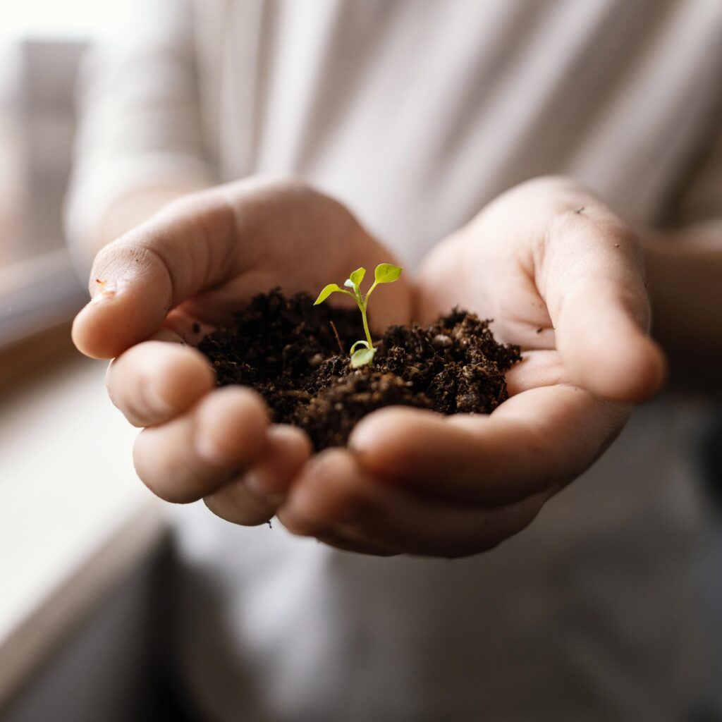 Millennium Seed Bank